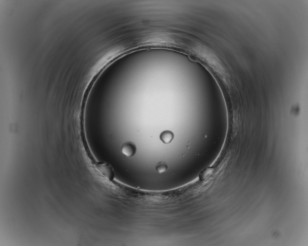 X0000098141330200804171538