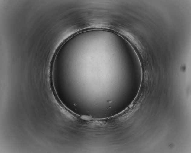 X0000098141331200804171538