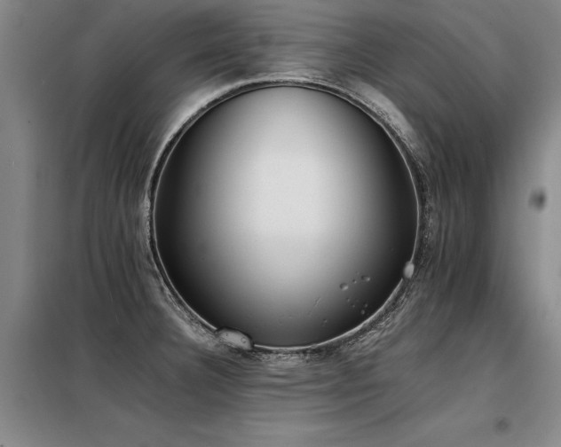 X0000098141332200804171538