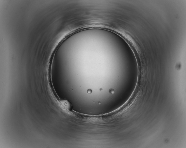 X0000098141333200804171538