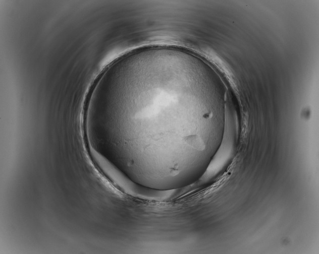 X0000098141334200804171538
