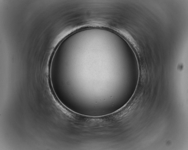 X0000098141335200804171538