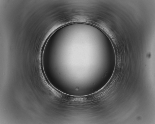 X0000098141339200804171538
