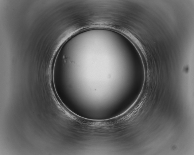 X0000098141341200804171538