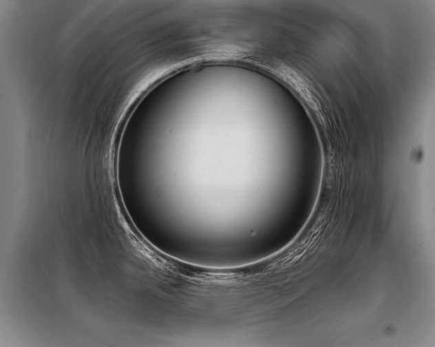 X0000098141342200804171538