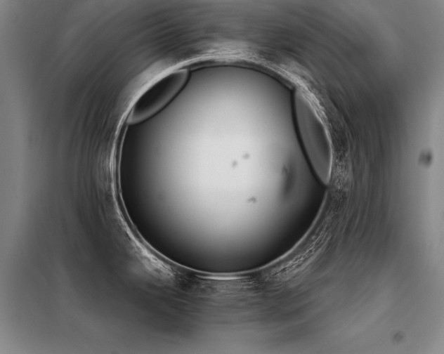 X0000098141343200804171538