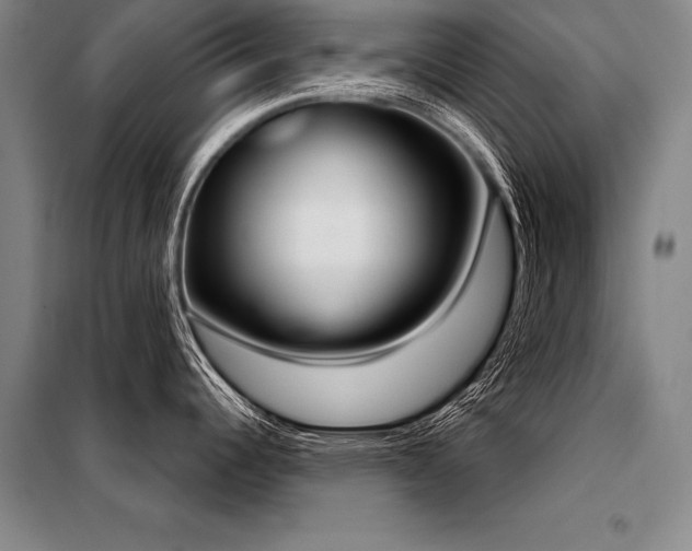 X0000098141344200804171538