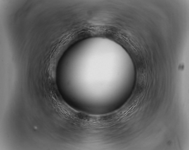 X0000098141345200804171537