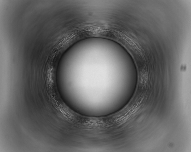 X0000098141346200804171537