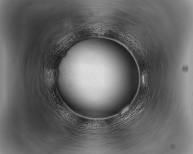 X0000098141347200804171537