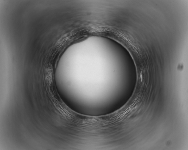 X0000098141348200804171537