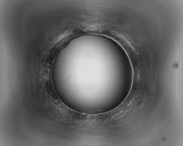 X0000098141350200804171537