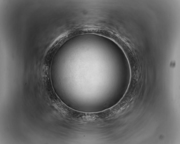 X0000098141351200804171537