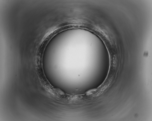 X0000098141352200804171537
