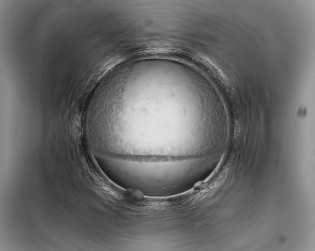 X0000098141353200804171537