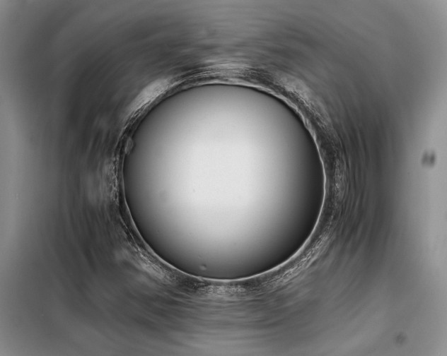 X0000098141354200804171537