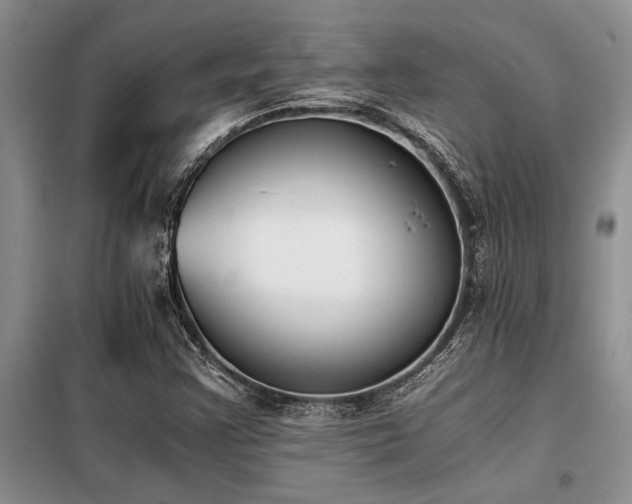 X0000098141355200804171537