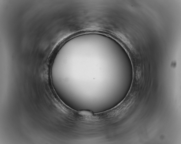 X0000098141356200804171537