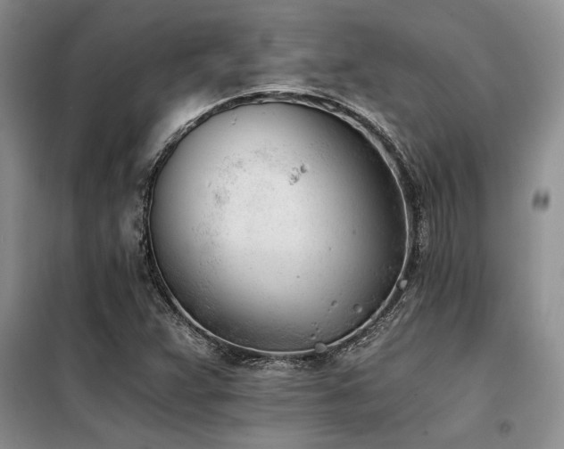 X0000098141359200804171537