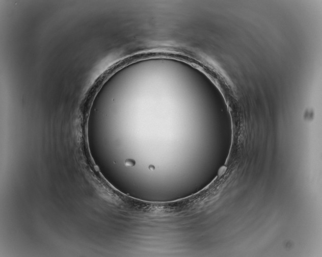 X0000098141360200804171537
