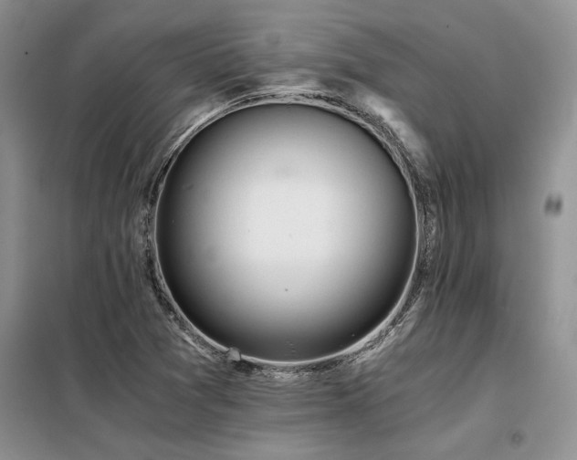 X0000098141361200804171537