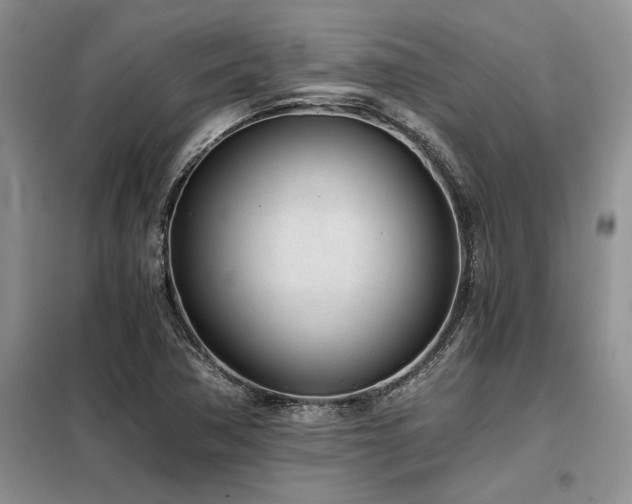 X0000098141362200804171537