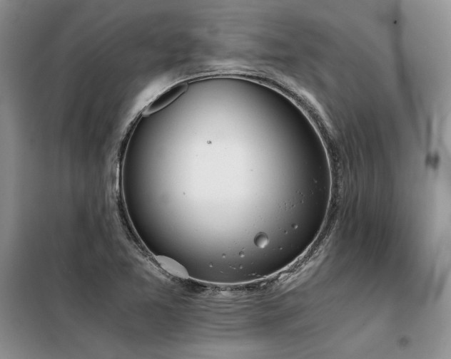 X0000098141365200804171537