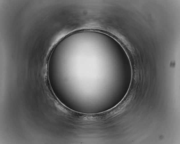 X0000098141366200804171536