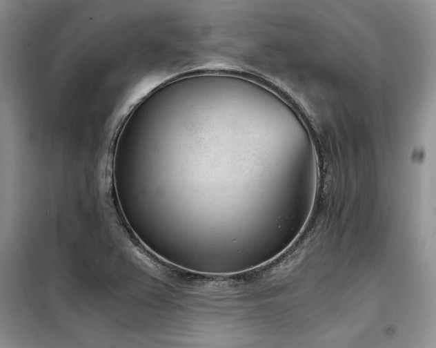 X0000098141367200804171536