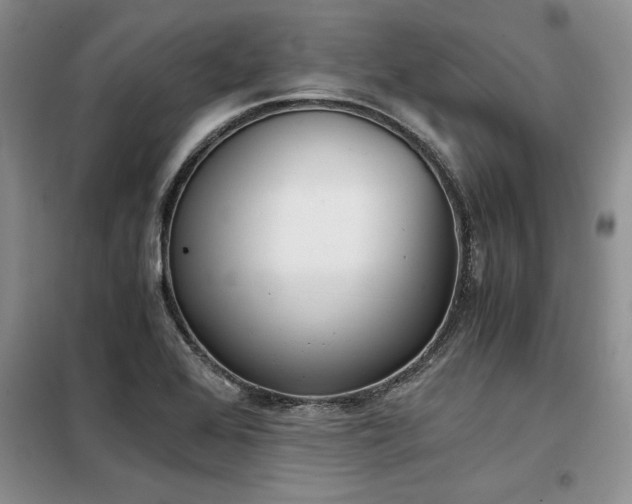 X0000098141368200804171536