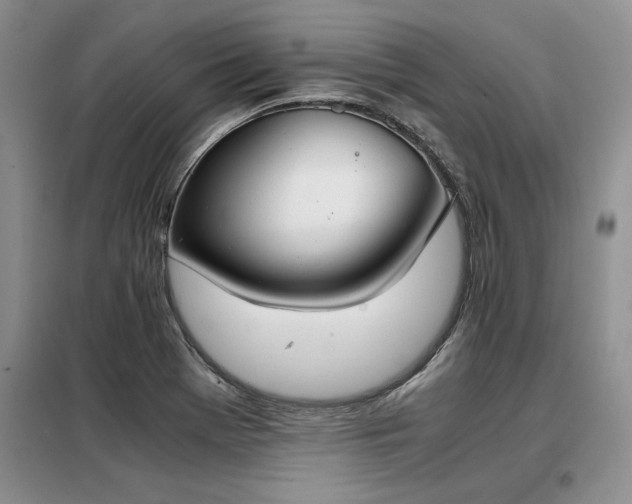 X0000098141369200804171536
