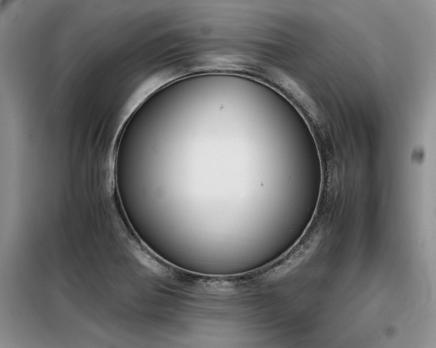 X0000098141370200804171536