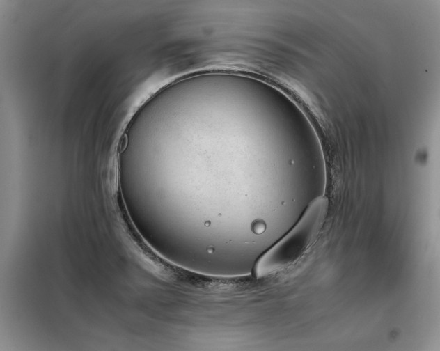 X0000098141371200804171536