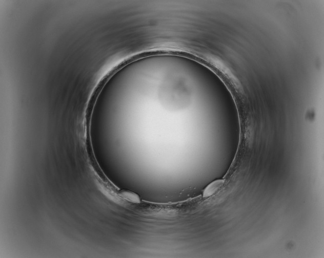 X0000098141372200804171536