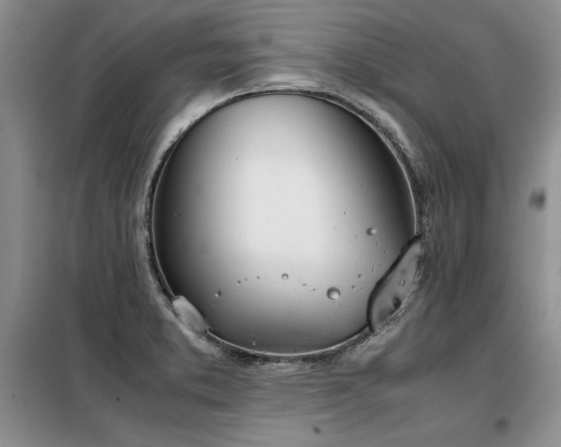 X0000098141373200804171536