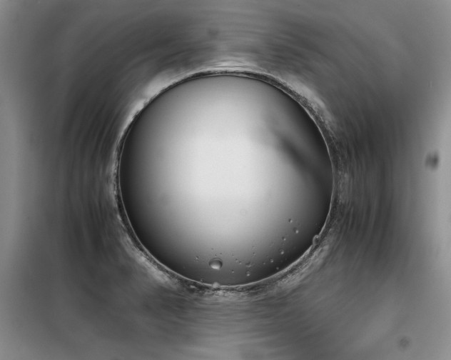 X0000098141374200804171536