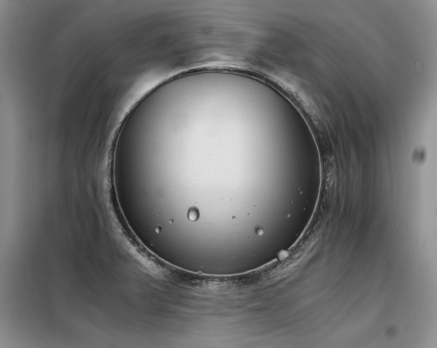 X0000098141375200804171536