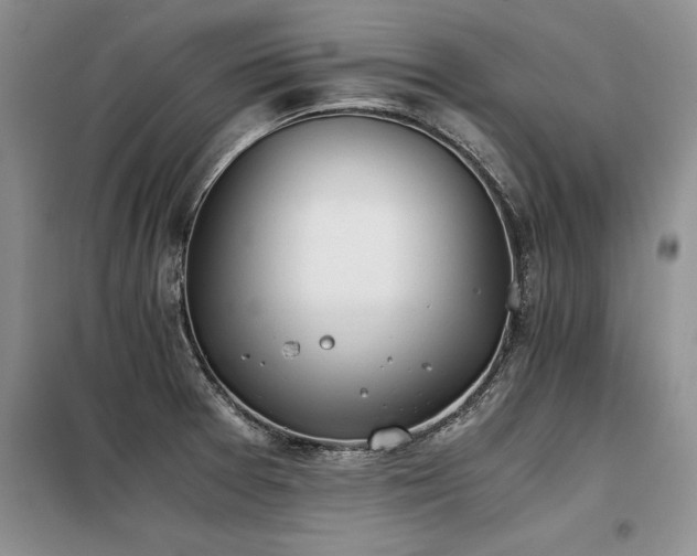 X0000098141377200804171536