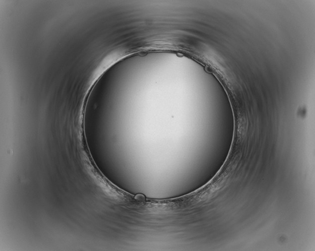 X0000098141378200804171536