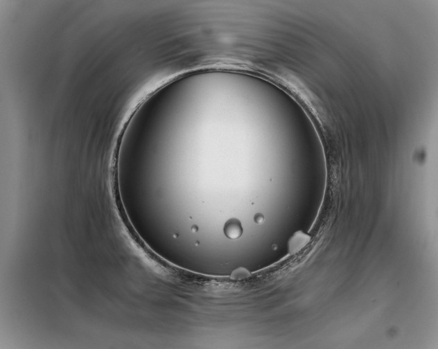 X0000098141379200804171536