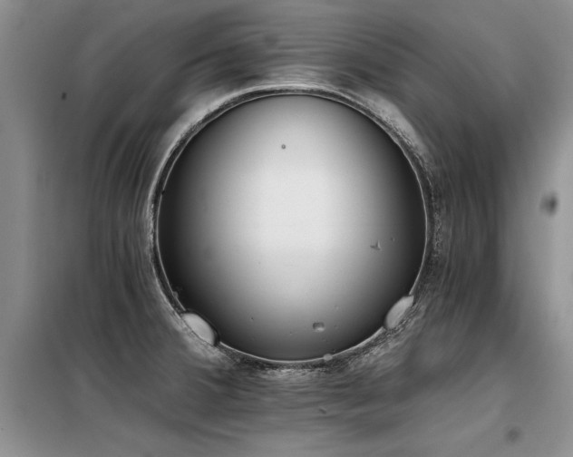 X0000098141380200804171536