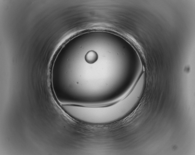 X0000098141384200804171536