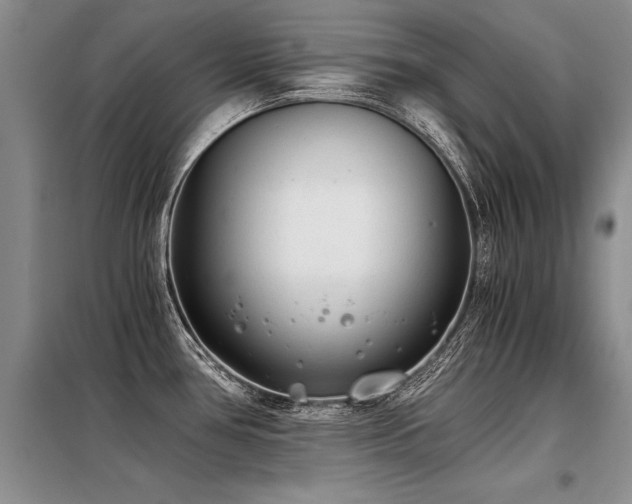 X0000098141386200804171536