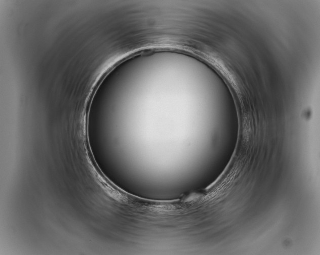 X0000098141388200804171536