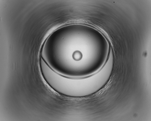 X0000098141389200804171536