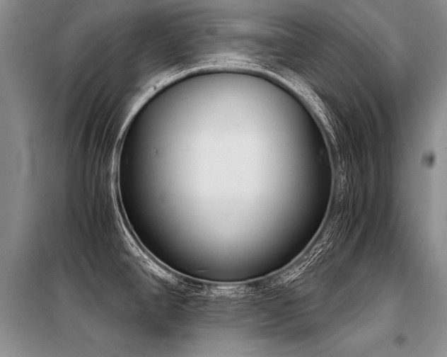 X0000098141390200804171536