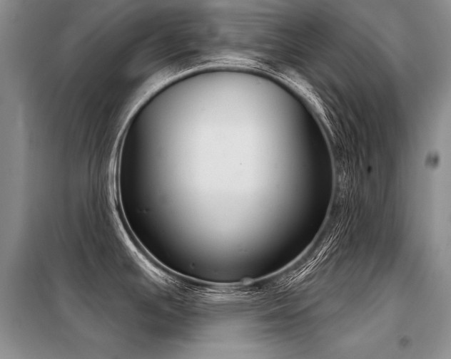 X0000098141391200804171536