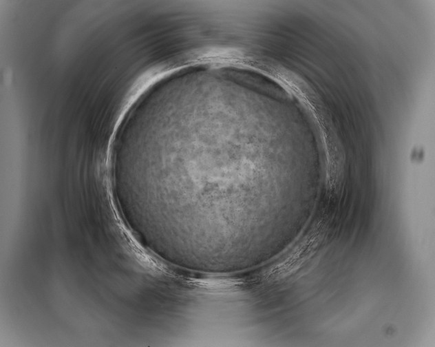 X0000098141392200804171536