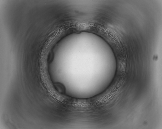 X0000098141393200804171535