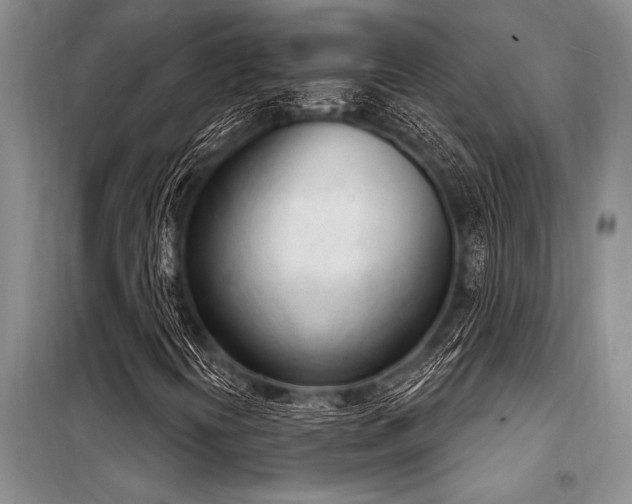 X0000098141394200804171535